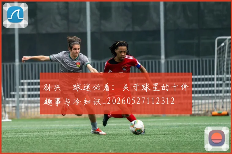 孙兴慜球迷必看：关于球星的十件趣事与冷知识_20260527112312