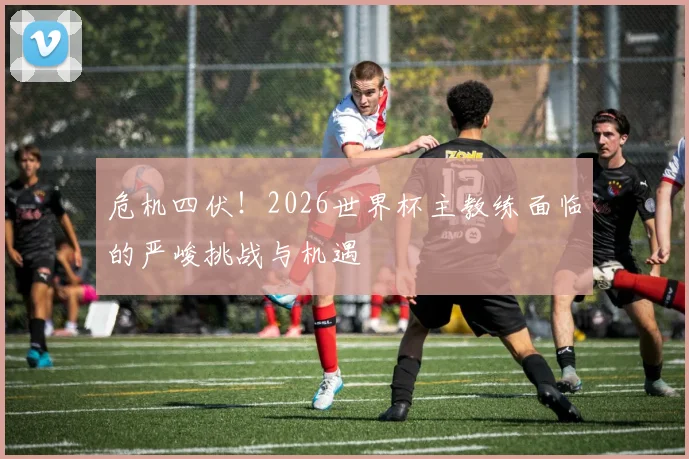危机四伏!2026世界杯主教练面临的严峻挑战与机遇